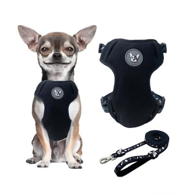 China Custom Comfortable Outdoor Walking Harness DETACHED Para Mascota Mesh Dog Harness And Leash Set For Puppy for sale