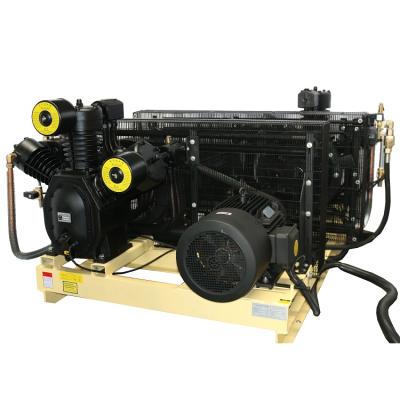 China 30bar Air Compressor 3MPa/435psi Lubricated Medium High Pressure Belt Driven Air Compressor For Pet Blow Molding Machine for sale