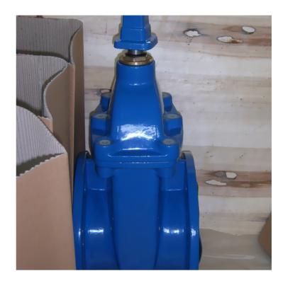 China WRAS Certification Factory Price General Wholesale Ductile Iron Foot Valve For Sale for sale