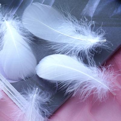 China Colorful Recycled Materials To Feather DIY Dye Dream Floating Goose Feather Catcher Bobball Gift Box Filled With Decorative Materials for sale