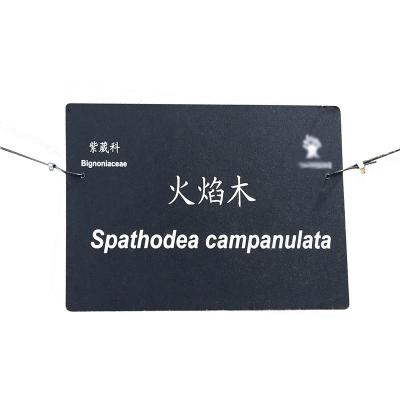 China Tree Tags And Outdoor Signs Custom Anodize Laser Engraved Aluminum Signs Aluminum Tags Aluminum Tags for sale