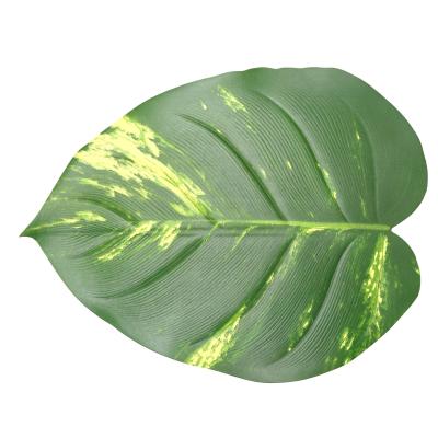 China EVA Leaf Custom Wholesale Cheap Plastic Place Mats Sustainable Place Mats for sale