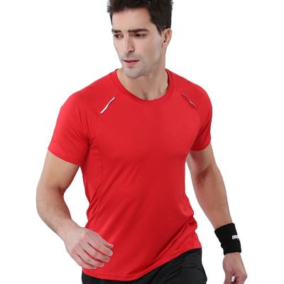 China Viable Custom Comfortable Quick Dry T-shirts Stripe Gym Sport Bacteriostatic Reflective T-shirt for sale