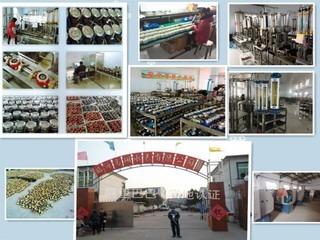 Verified China supplier - Gaoxiang Water Meter Co., Ltd.