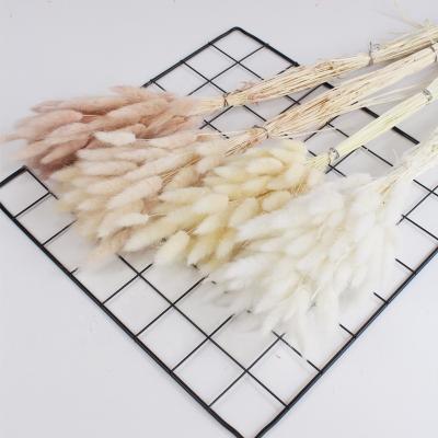 China Dry Rabbit Tails Biggest Selling New Year 30 Off Rabbit Tails In White And Pink Color For Vase Flower Craft for sale