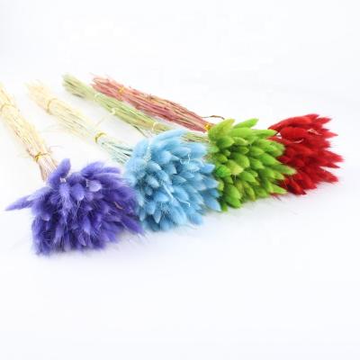 China Wholesale Bunny Tails Dryer High Quality Bunny Tails For Flower Bouquets Decoration for sale