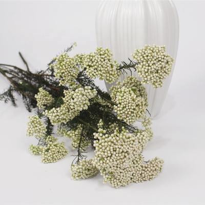 China Fresh Rice Flower INS Style Preserved Flower Preserved Rice Flower For Lover's Gift for sale