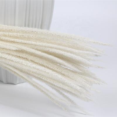 China wholesale bleached white pampas grass for flower decoration D-03 for sale