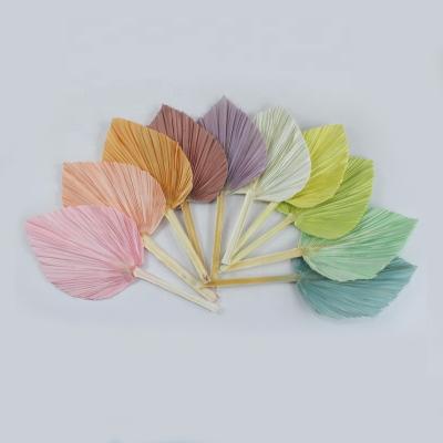 China Wholesale Yunnan Pastel Color Sun Bleached Palm For Weddings And Flower Arrangements for sale