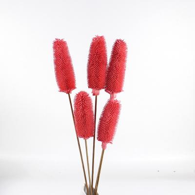 China 2021 hot sale handmade flower dipsacus for flower decoration D-35 for sale