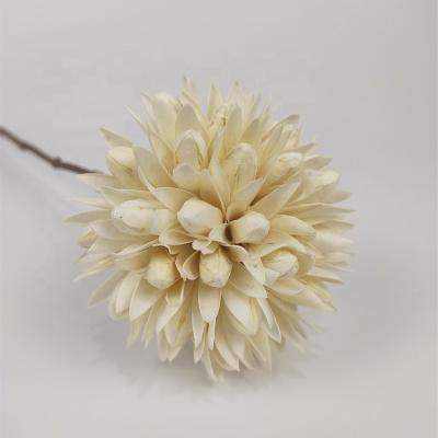 China Handmade Classic Magnolia Blossom Magnolia Flower For Bohemian Home Decoration for sale