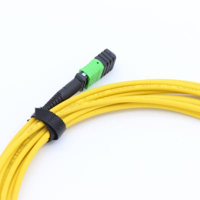 China Data Center Senko MPO Female 24 Fibers LSZH SM 9/125 mpo Singlemode Trunk Cables for sale