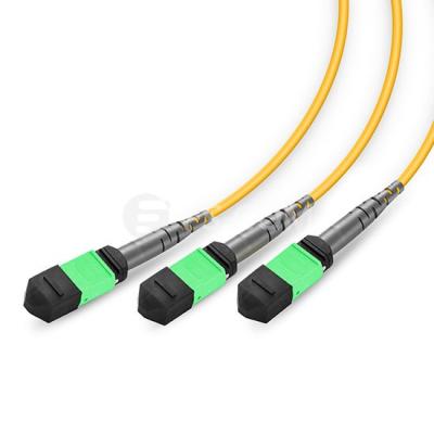 China Data Center Customized Professional 24Cores 2xMPO To 3xMPO Conversion Harness Cable Fiber Optic Patch Cord for sale