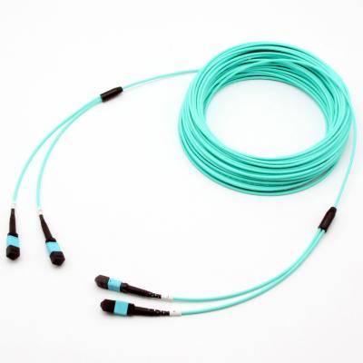 China Data Center Lower Price Customization Logo OM3 24F 2XMTP To Trunk 2XMTP Cable Fiber Optic Patch Cord for sale