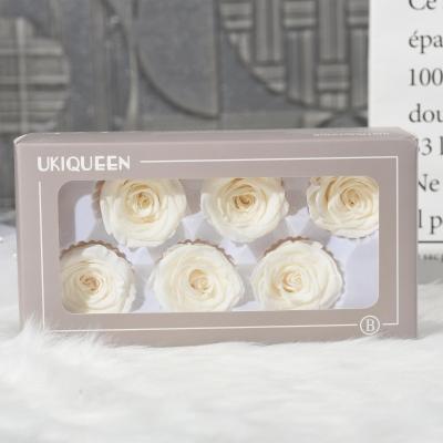 China Real Touch Environmental Friendly Wholesale Grade A Preserved Dry Rose Long Lasting Eternal Flower Preserved Roses In Box Glass Dome for sale