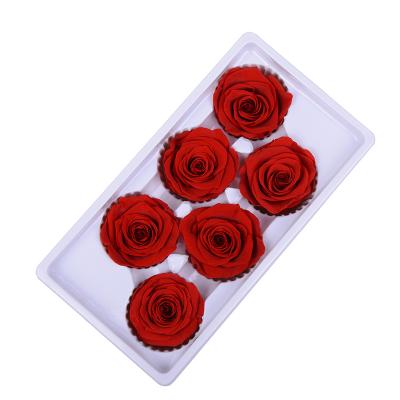 China Environmentally Friendly Wholesale Preserved Roses Heads 5-6cm Grade A White Red Immortal Preserved Rose Head For Gift Decor for sale