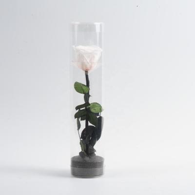 China Natural Simple Preserved Rose Gift Box For Gift Decoration Wedding Party Event Eternal Real Roses Touch for sale