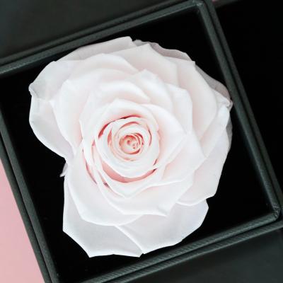 China Natural Hot Sale Wholesale Handmade Touch Everlasting Dried Flower In Box Long Life Preserved Rose In Little Gift Box for sale