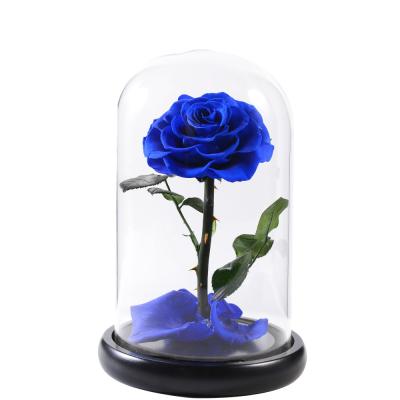 China Environment Friendly & Fashionable Reasonable Price Preserved Eternal Everlasting Immortal Glass Dome Flower Preserved Roses for sale