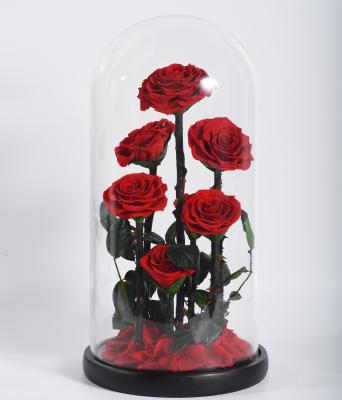 China fashionable & Environmental Friendly Decorative Flowers Glass Preserved Roses For Decorating Events for sale