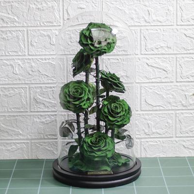 China fashionable & Environmental Friendly Gifts Glass Preserved Decorative Roses Flowers For Decoration Events Artificial Flowers for sale