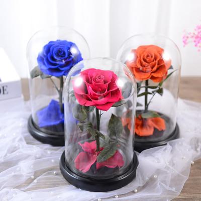 China Wholesale Hot Selling Eternal Flower Rose Natural Decoration Flower Preserved Rose In Glass Dome Real Touch Beauty Beast for sale