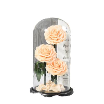 China 2021 Environmentally Friendly Best Selling Glass Cover Preserved Rose Decorative Flowers For Festivals Wedding Valentines Gifts for sale