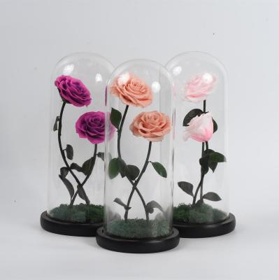 China Wedding Party Event Decoration Kunming Factory Floral Supply New Design Decoration Forever Preserved Roses In Glass Dome for sale