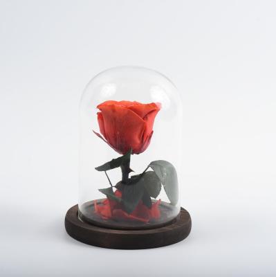 China Natural real touch 2021 Rose Flower Eternal Forever Immortal preserved new by hot sale design Rose In Glass Dome for sale