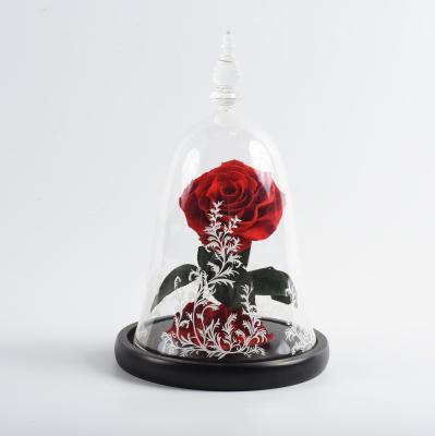 China Hot Sale Party Decoration The Beauty And The Beast Preserved Rose Flowers In Glass Gift Box For Wedding for sale