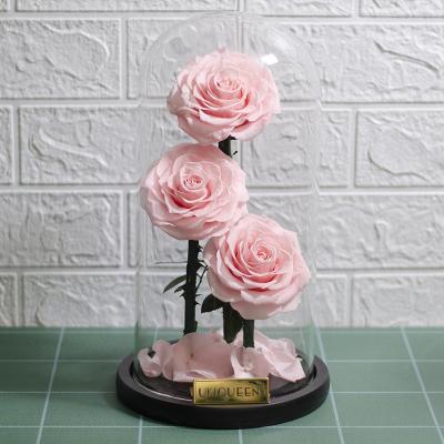 China Party Decoration Factory Wholesale 3pcs Real Durable Natural Flower Preserved Rose In Glass Dome for sale