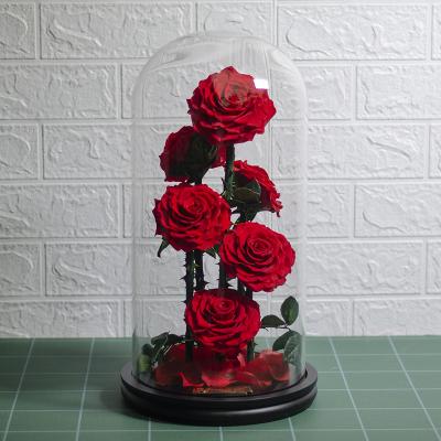 China Party Decoration 6pcs Fresh Flower Red Eternal Real Enchanted Forever Preserved Infinity Rose In Glass Dome for sale