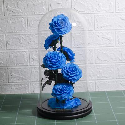 China Handmade Party Decoration Engagement Gift 6pcs Preserved Real Rose In Glass Dome Eternal Rose With Gift Box for sale