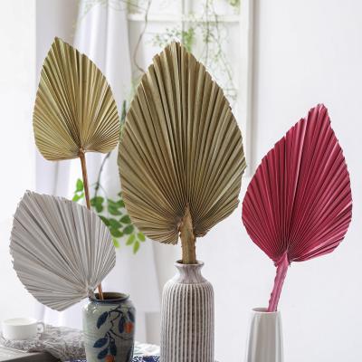 China Green Vertical Wall Wedding Plant Home Decor Dried Real Natural Palm Leaves Fan Binds Preserved Flower Palm Spear Leaves for sale