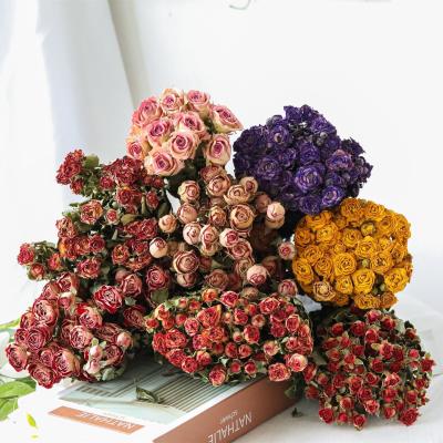 China Events Decoration Natural Dry Flowers Lasting Forever Real Rose Bouquet For Home Wedding Natural Dry for sale