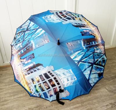 China All In 1 Custom One Piece SUNFOO Cover Umbrella With Digital Print for sale