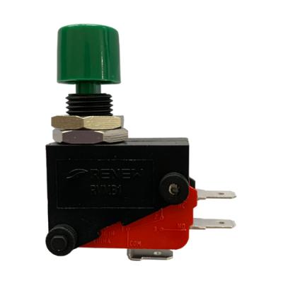 China Panel Mount Green Push Button16a Micro Switch RGBB1 for sale