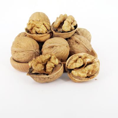 China 185 Best Quality Lviv Dry Promotional Chinese Walnuts for sale