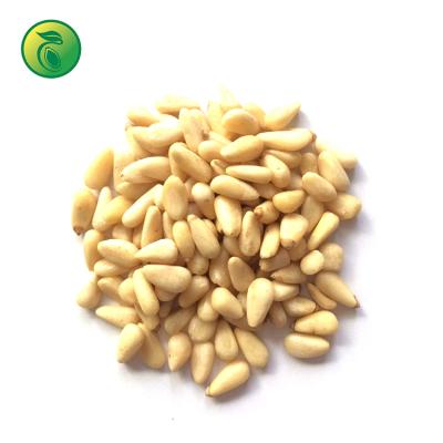 China Food Factory Wholesale Price Pine Nut Core Shelling Pine Nuts for sale