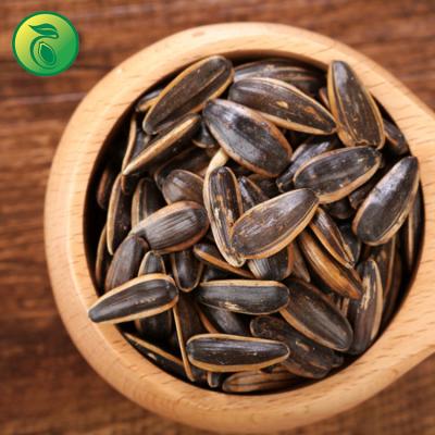 China Sunflower seed factory direct sales dry white sunflower sunflower planting seeds for sale