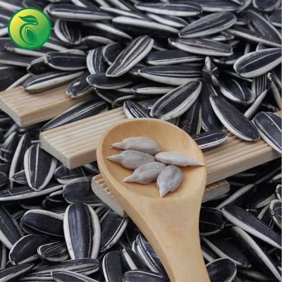 China Dry Sunflower Seeds Estados UNIDO Hibrid Sunflower Seed Planting Seed Sunflower for sale