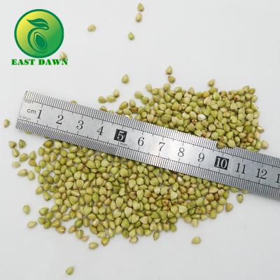 China Organic Dried Buckwheat Hull Buckwheat for sale