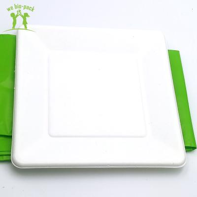 China ECO-FRIENDLY Sugar Cane Compostable Biodegradable Disposable Sugar Cane Bagasse Square Plates Tableware for sale