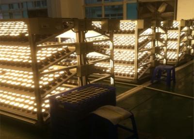 Cina Struttura automatica dell'acciaio inossidabile della macchina della prova di invecchiamento del LED per la luce di lampadina di E27 B22 in vendita