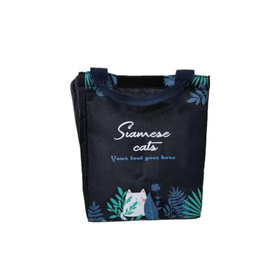 China Waterproof Collapsible Beach Bag Coolers Custom Cooler Bag for sale