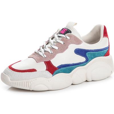 China Dropshipping Women's CUSHIONING Mixed Colors Chunky Suede Sneakers Women's Platform Shoes Breathable Fashion Shoes for sale