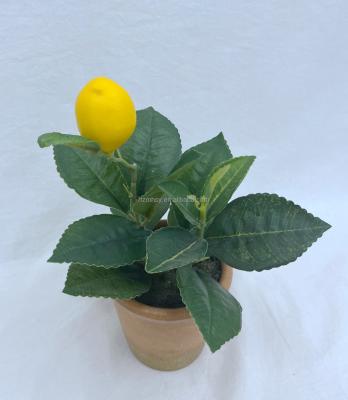 China Factory Direct Home Table Decoration Indoor Decorative Plant Decorations.Gifts.For Plastic Artificial Lemon Tree for sale