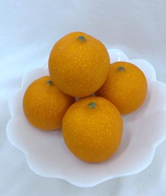 China Decorations.Gifts.For Home Decoration Table Indoor Photography Props Window Display Home Furnishings Simulation Fruits Model Artificial Orange Fruit for sale