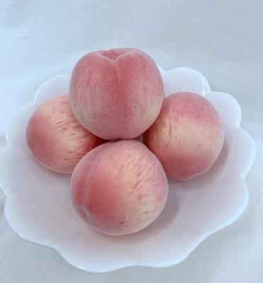 China Decorations.Gifts.For Home Decoration Table Indoor Photography Props Window Display Home Furnishings Simulation Fruits Model Artificial Peach Fruit for sale