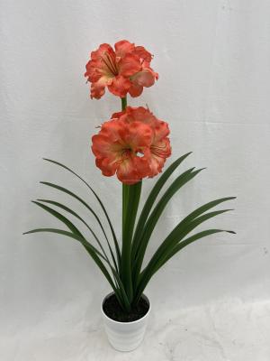 China Decorations.Gifts.For Home Table Indoor Decoration Clivia Minata Flower Artificial Artificial Flowers For Home Decor for sale